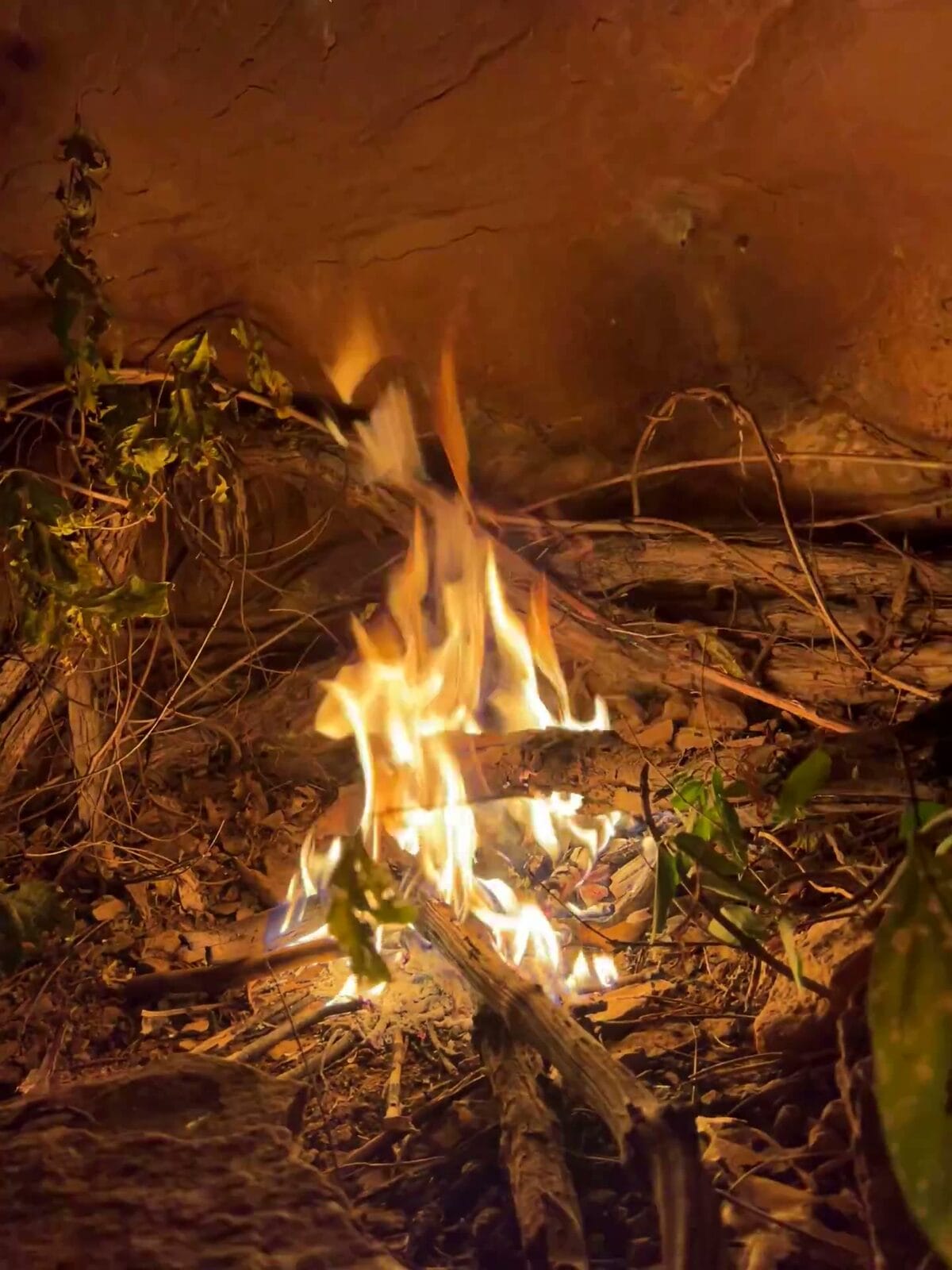 fire going