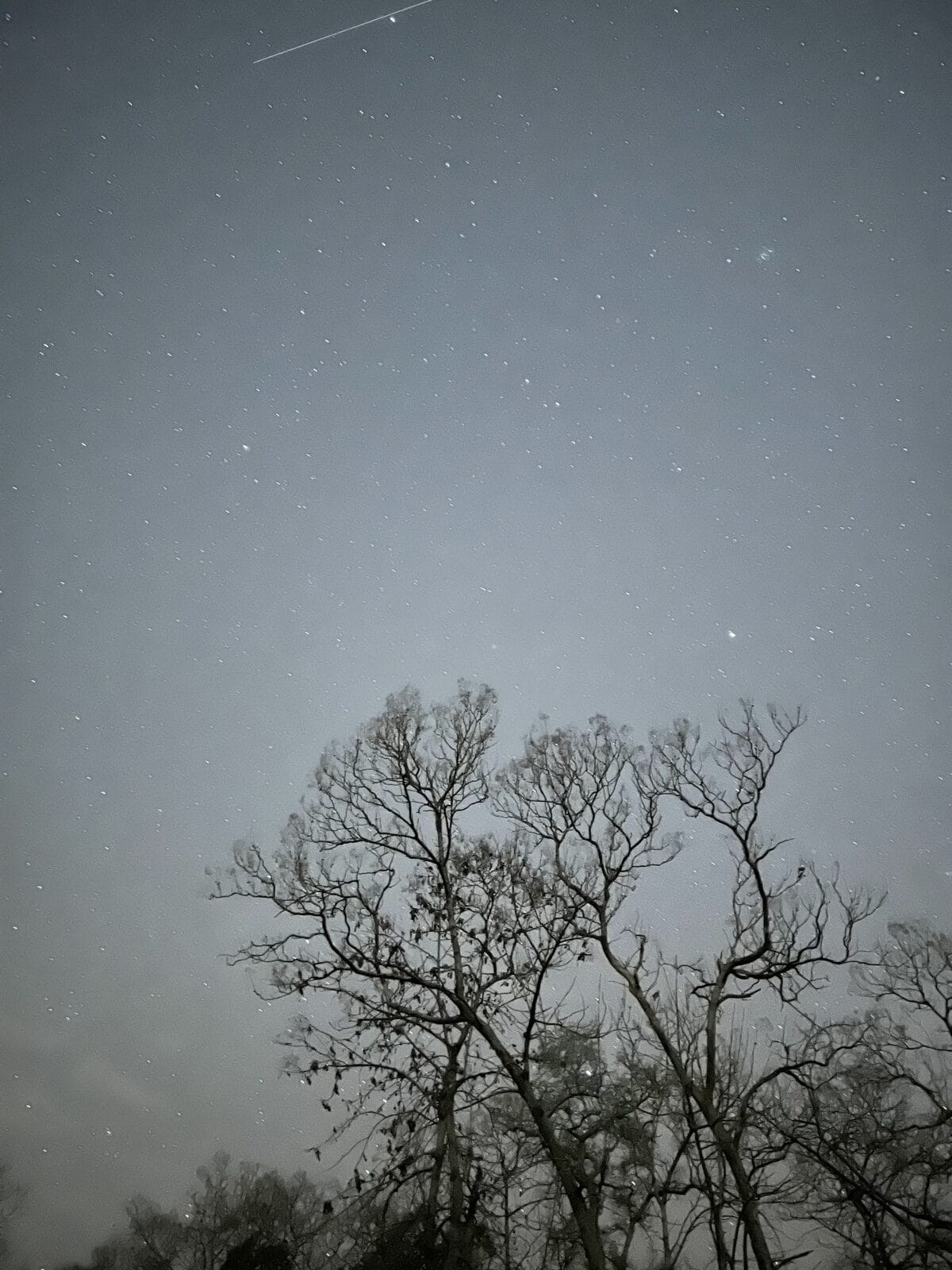 stars over camp
