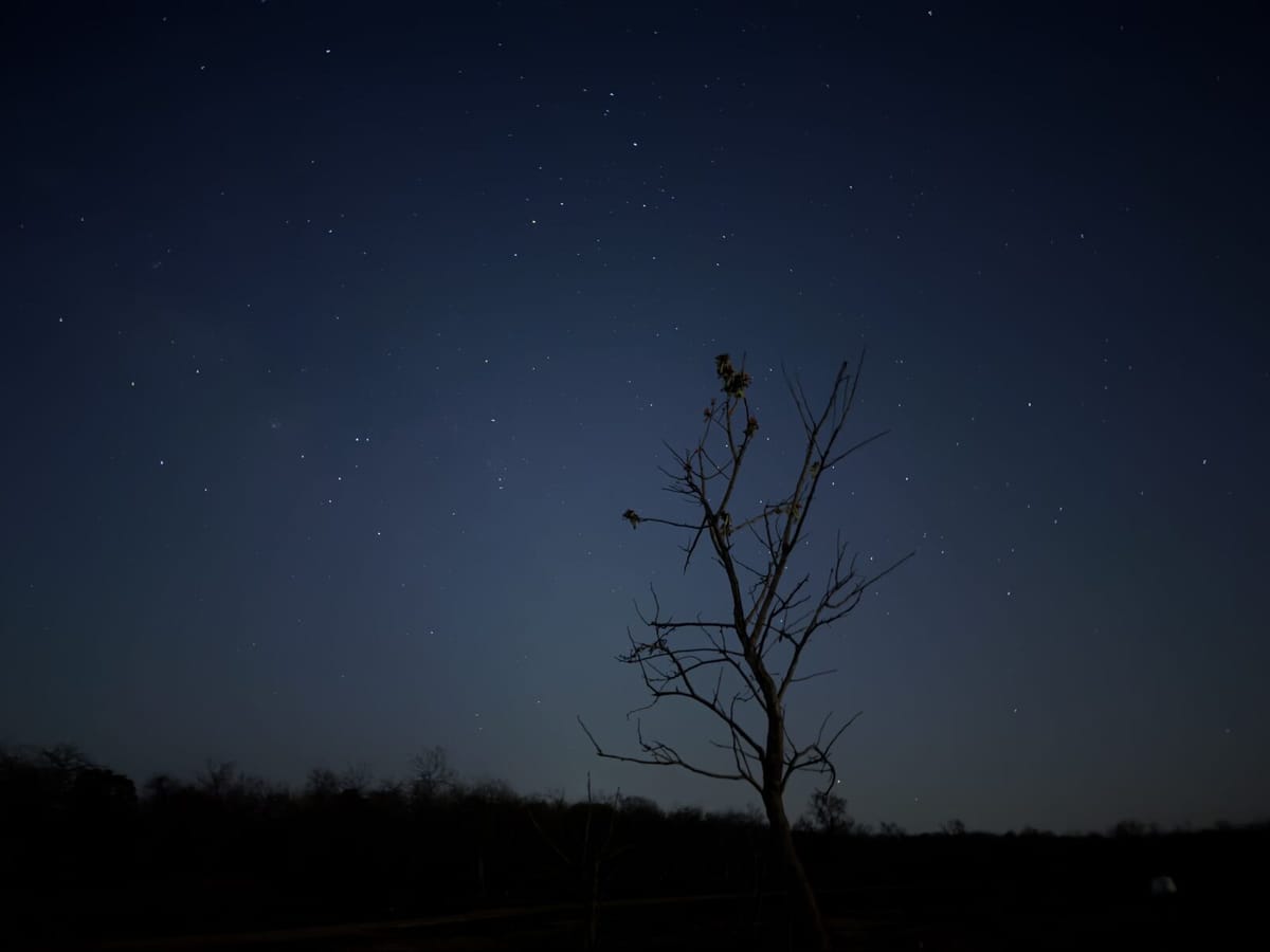 stars over camp