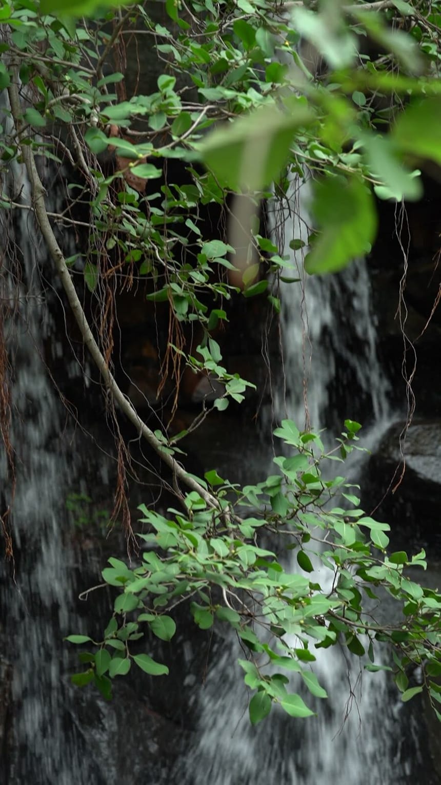 the curtain of water